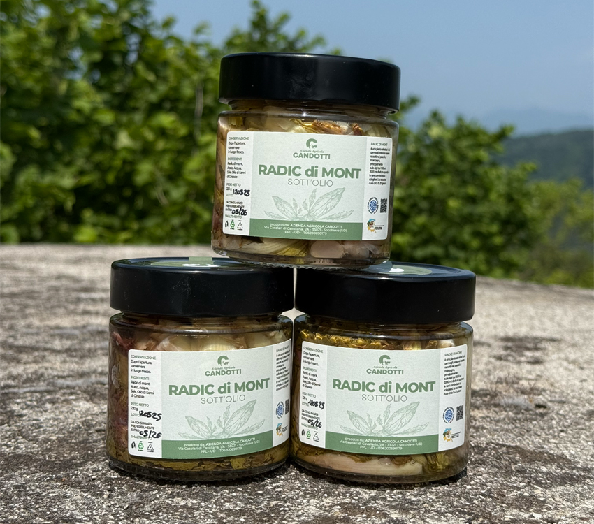 Radic di Mont 1 Radic di Mont