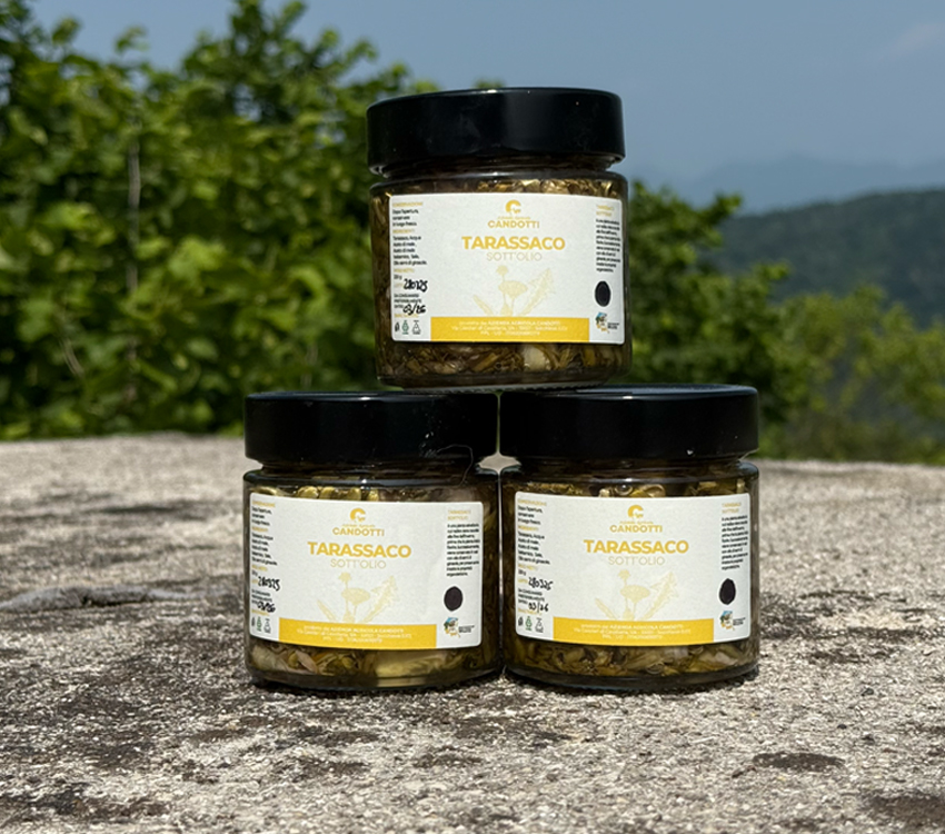 Tarassaco Sott’olio